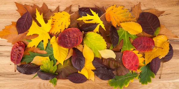 Желтый Оранжевый Зеленый Красный Различные Осенние Опавшие Листья Деревянном Фоне — стоковое фото
