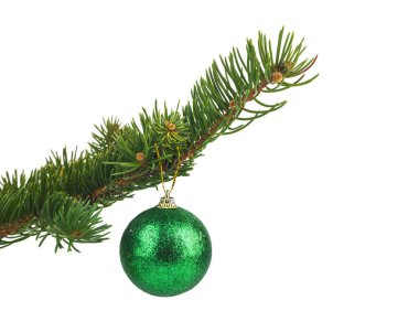 Beyaz arka planda yeşil topu olan yeşil ağaç dalı. Yan görüş. Metin için yer.