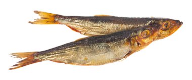 Beyaz arka planda tütsülenmiş ringa balığı. Tasarım ayrıntıları. Tasarım elemanları. Makro. Kartvizitler, kartpostallar ve posterler için arka plan.