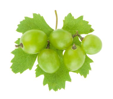 Beyaz arka planda izole edilmiş yeşil üzümler. Tasarım ayrıntıları. Tasarım elemanları. Makro. 