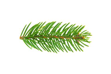 Beyaz arka planda izole edilmiş eski bir Noel ağacı. Tasarım ayrıntıları. Tasarım elemanları. Makro. 