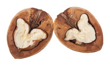 Ceviz, beyaz arka planda izole edilmiş. Tasarım ayrıntıları. Tasarım elemanları. Makro. 