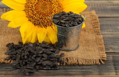 Ahşap arka planda ayçiçeği ve tohumlar. Tasarım ayrıntıları. Tasarım elemanları. Makro