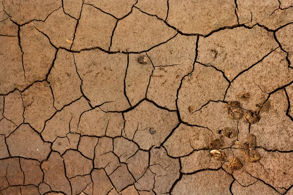 干裂土地的质感 全球缺水问题 全球暖化和温室效应的概念 干土的结构 干土与粘土和沙子 — 图库照片