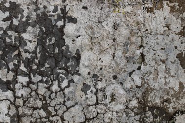 Kirli, beyaz, siyah çizikli, yatay arka planı olan eski alçı duvar. Çatlak eski duvar dokusu arka planı. Retro Vintage Duvar Kağıdı. Çürümüş Çatlamış Sert Soyut Sancak Yüzeyi