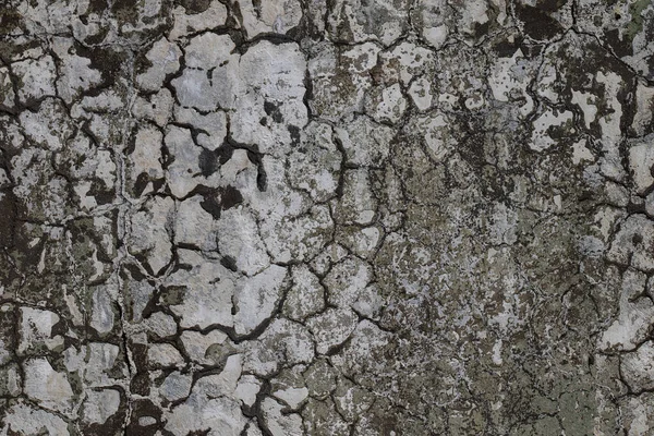 Старая Гипсовая Стена Грязным Белым Черным Поцарапанным Горизонтальным Фоном Трещины — стоковое фото