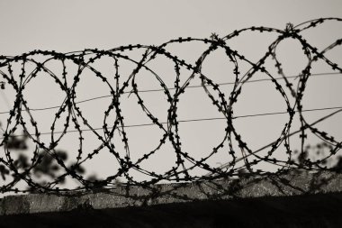 Restricted area. Passage is prohibited closed. Border from old barbed metal barrier wire. Concept of border, prison, war, military base, refugees. Selective focus. As a conceptual modern background