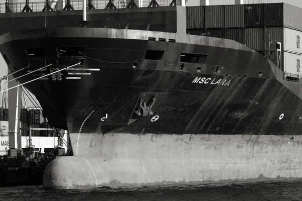 Odessa Oekraïne 202 Logistieke Terminal Stuurt Import Export Vrachtcontainers Naar — Stockfoto