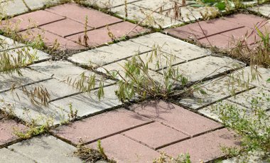 Arka planda kırık kaldırım levhaları ve fayansların arasında yeşil çimenler var. Terk edilme ve kentsel yapının çürüme geçmişi. Eski terk edilmiş yol yüzeyi