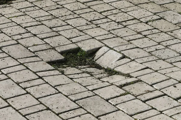 Háttér Régi Repedt Burkolólapok Zöld Között Csempe Városi Struktúra Elhagyásának Stock Fotó