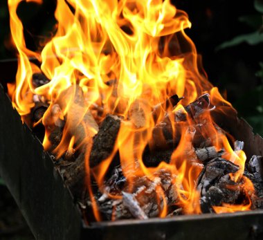 Izgarada ateş, piknik sırasında ya da yaz tatilinde kızartılmış et pişirmek için ızgara. Restoran ve kafe alevleri ile barbekü reklamları için arka plan kömürü şenlik ateşi. Menü arkaplanı
