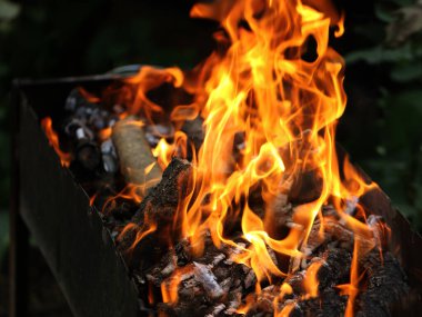 Izgarada ateş, piknik sırasında ya da yaz tatilinde kızartılmış et pişirmek için ızgara. Restoran ve kafe alevleri ile barbekü reklamları için arka plan kömürü şenlik ateşi. Menü arkaplanı