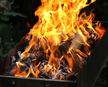 Izgarada ateş, piknik sırasında ya da yaz tatilinde kızartılmış et pişirmek için ızgara. Restoran ve kafe alevleri ile barbekü reklamları için arka plan kömürü şenlik ateşi. Menü arkaplanı