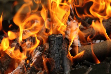 Izgarada ateş, piknik sırasında ya da yaz tatilinde kızartılmış et pişirmek için ızgara. Restoran ve kafe alevleri ile barbekü reklamları için arka plan kömürü şenlik ateşi. Menü arkaplanı