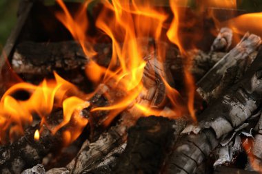 Izgarada ateş, piknik sırasında ya da yaz tatilinde kızartılmış et pişirmek için ızgara. Restoran ve kafe alevleri ile barbekü reklamları için arka plan kömürü şenlik ateşi. Menü arkaplanı