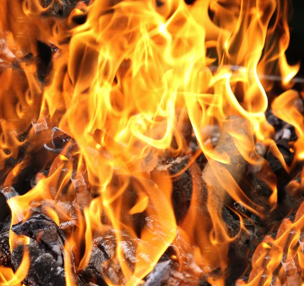 Fuego Parrilla Parrilla Para Cocinar Carne Frita Naturaleza Durante Picnic — Foto de Stock