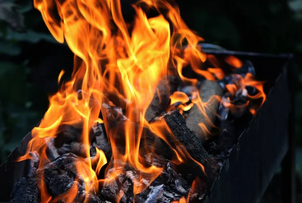 Izgarada Ateş Piknik Sırasında Yaz Tatilinde Kızartılmış Pişirmek Için Izgara — Stok fotoğraf