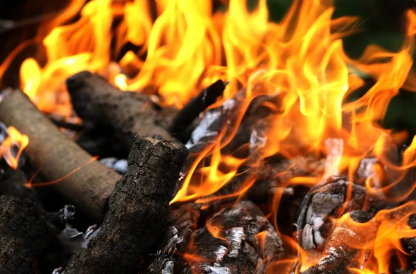 Fuego Parrilla Parrilla Para Cocinar Carne Frita Naturaleza Durante Picnic —  Fotos de Stock