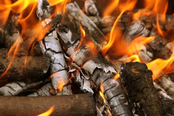 Izgarada Ateş Piknik Sırasında Yaz Tatilinde Kızartılmış Pişirmek Için Izgara — Stok fotoğraf