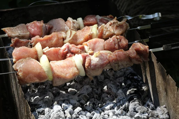 夏の休日料理ケバブのための肉の新鮮でジューシーな作品は 薪グリルで揚げられています グリルで調理された肉 東洋料理バーベキュー 広告背景レストランメニュー ストリートフード — ストック写真