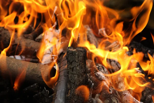 グリルでの火災 ピクニックや夏休み中に自然の中で揚げ肉を調理するためのグリル 背景レストランやカフェの炎とバーベキュー広告のためのチャコールたき火 メニューの背景 ロイヤリティフリーのストック写真