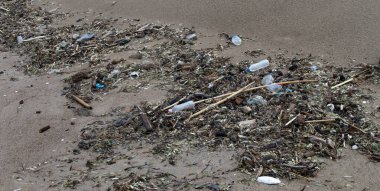 Çöp dağları, fırtınadan sonra eski plastik şişeler, sörf dalgası şehrin kumsalına fırlatıyor. Medeniyetin ekolojik sorunu ve insanlığın modern kimyasal teknolojileri