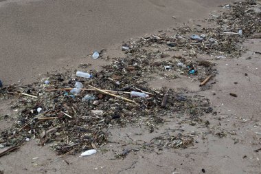 Çöp dağları, fırtınadan sonra eski plastik şişeler, sörf dalgası şehrin kumsalına fırlatıyor. Medeniyetin ekolojik sorunu ve insanlığın modern kimyasal teknolojileri