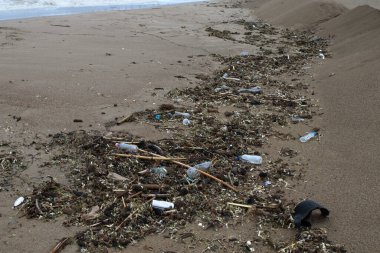 Çöp dağları, fırtınadan sonra eski plastik şişeler, sörf dalgası şehrin kumsalına fırlatıyor. Medeniyetin ekolojik sorunu ve insanlığın modern kimyasal teknolojileri