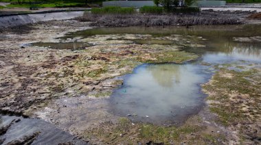 Ekolojik felaket. Şehir parkındaki kuru göl. Kuru bataklık gölü yok olur, çevre koruma fikri ve konsepti, kuraklık, ısınma ve yıkıcı iklim değişikliği. Tatlı su kıtlığı