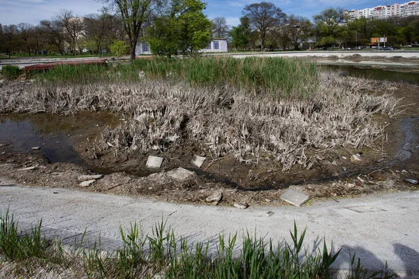 Ekologická Katastrofa Sušené Jezero Městském Parku Suché Bažinaté Jezero Mizí — Stock fotografie