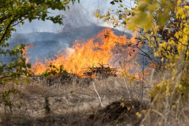 Şiddetli kuraklık sırasında bozkır yangınları tarlaları tamamen yok eder. Felaket çevre ve bölge ekonomisine düzenli olarak zarar veriyor. Yangın konut binalarını tehdit ediyor. Yerli halk yangını söndürdü