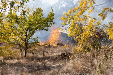 Şiddetli kuraklık sırasında bozkır yangınları tarlaları tamamen yok eder. Felaket çevre ve bölge ekonomisine düzenli olarak zarar veriyor. Yangın konut binalarını tehdit ediyor. Yerli halk yangını söndürdü