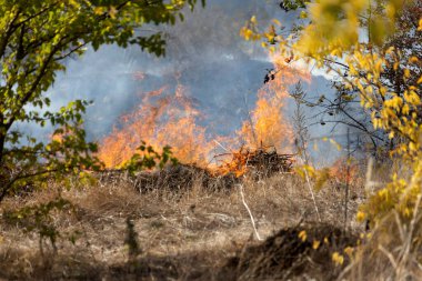 Şiddetli kuraklık sırasında bozkır yangınları tarlaları tamamen yok eder. Felaket çevre ve bölge ekonomisine düzenli olarak zarar veriyor. Yangın konut binalarını tehdit ediyor. Yerli halk yangını söndürdü