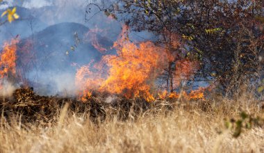 Şiddetli kuraklık sırasında bozkır yangınları tarlaları tamamen yok eder. Felaket çevre ve bölge ekonomisine düzenli olarak zarar veriyor. Yangın konut binalarını tehdit ediyor. Yerli halk yangını söndürdü
