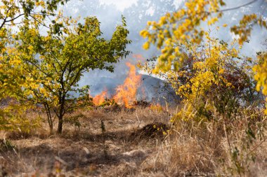 Şiddetli kuraklık sırasında bozkır yangınları tarlaları tamamen yok eder. Felaket çevre ve bölge ekonomisine düzenli olarak zarar veriyor. Yangın konut binalarını tehdit ediyor. Yerli halk yangını söndürdü