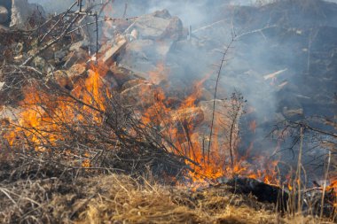 Şiddetli kuraklık sırasında bozkır yangınları tarlaları tamamen yok eder. Felaket çevre ve bölge ekonomisine düzenli olarak zarar veriyor. Yangın konut binalarını tehdit ediyor. Yerli halk yangını söndürdü