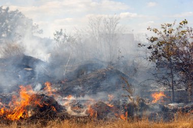 Şiddetli kuraklık sırasında bozkır yangınları tarlaları tamamen yok eder. Felaket çevre ve bölge ekonomisine düzenli olarak zarar veriyor. Yangın konut binalarını tehdit ediyor. Yerli halk yangını söndürdü