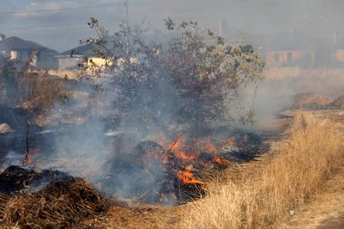 Şiddetli kuraklık sırasında bozkır yangınları tarlaları tamamen yok eder. Felaket çevre ve bölge ekonomisine düzenli olarak zarar veriyor. Yangın konut binalarını tehdit ediyor. Yerli halk yangını söndürdü