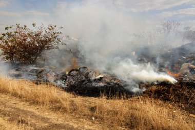 Şiddetli kuraklık sırasında bozkır yangınları tarlaları tamamen yok eder. Felaket çevre ve bölge ekonomisine düzenli olarak zarar veriyor. Yangın konut binalarını tehdit ediyor. Yerli halk yangını söndürdü