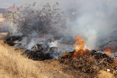 Şiddetli kuraklık sırasında bozkır yangınları tarlaları tamamen yok eder. Felaket çevre ve bölge ekonomisine düzenli olarak zarar veriyor. Yangın konut binalarını tehdit ediyor. Yerli halk yangını söndürdü