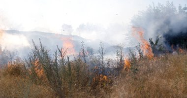 Orman ve bozkır yangınlar kuru tamamen şiddetli bir kuraklık sırasında bozkırlarında ve alanları yok. Felaket düzenli hasar doğa ve bölge ekonomisi için getiriyor. Işık alan buğday hasat ile