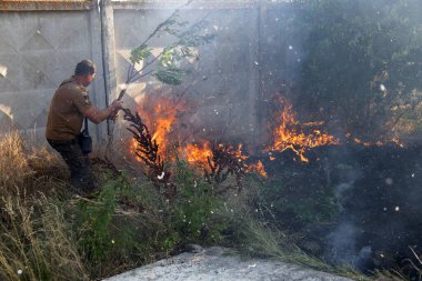 Orman ve bozkır yangınlar kuru tamamen şiddetli bir kuraklık sırasında bozkırlarında ve alanları yok. Felaket düzenli hasar doğa ve bölge ekonomisi için getiriyor. Işık alan buğday hasat ile