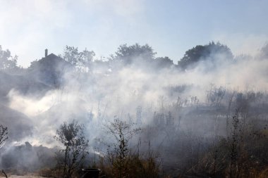 Orman ve bozkır yangınlar kuru tamamen şiddetli bir kuraklık sırasında bozkırlarında ve alanları yok. Felaket düzenli hasar doğa ve bölge ekonomisi için getiriyor. Işık alan buğday hasat ile