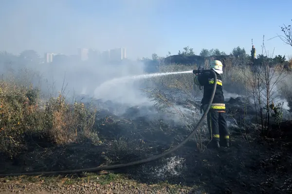ODESSA, UKRAINE - 24 Temmuz 2024: Orman, bozkır yangını tarlaları ve bozkırları tamamen yok etti. Felaket sakinlerin evlerine zarar veriyor. Birlikler, evleri tehdit eden bozkır yangınlarını söndürdü