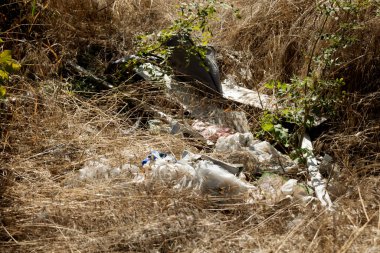 Ev Çöplüğü Yığını Yasadışı Çöplük Çöplüğü Orman Kirliliği Çevresel Sorun Çöplük Atık Atık Doğa Kirliliği Ekolojik Çöp Çöplüğü Çöp Çöplüğü Çevre Geri Dönüşüm Sorununa Zarar Verdi