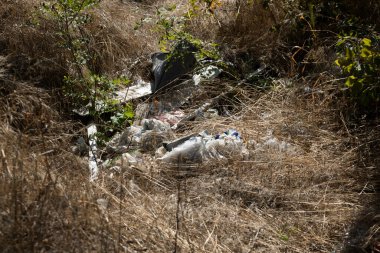 Ev Çöplüğü Yığını Yasadışı Çöplük Çöplüğü Orman Kirliliği Çevresel Sorun Çöplük Atık Atık Doğa Kirliliği Ekolojik Çöp Çöplüğü Çöp Çöplüğü Çevre Geri Dönüşüm Sorununa Zarar Verdi