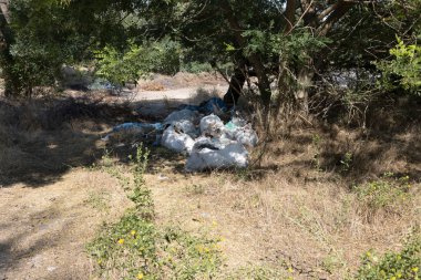Ev Çöplüğü Yığını Yasadışı Çöplük Çöplüğü Orman Kirliliği Çevresel Sorun Çöplük Atık Atık Doğa Kirliliği Ekolojik Çöp Çöplüğü Çöp Çöplüğü Çevre Geri Dönüşüm Sorununa Zarar Verdi