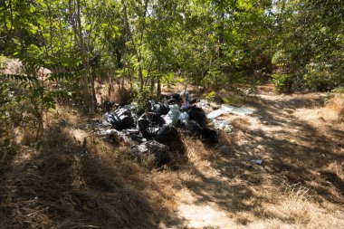 Ev Çöplüğü Yığını Yasadışı Çöplük Çöplüğü Orman Kirliliği Çevresel Sorun Çöplük Atık Atık Doğa Kirliliği Ekolojik Çöp Çöplüğü Çöp Çöplüğü Çevre Geri Dönüşüm Sorununa Zarar Verdi