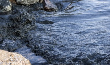 Kaya kıyısı, petrol sızıntısı gökkuşağı parıltısıyla kaplı karanlık dalgalarla vuruyor, çevresel felaketin sembolü ve petrol kirliliği sonrasında deniz kirliliğinin yol açtığı deniz yaşamına tehdit oluşturuyor.