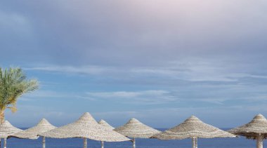 Saman şemsiyeli sahil manzarası, yalnız bir palmiye ağacı ve ufka doğru uzanan engin okyanus. Bulutlu gökyüzü, tropikal manzaraya biraz drama katar, boşluğu kopyala